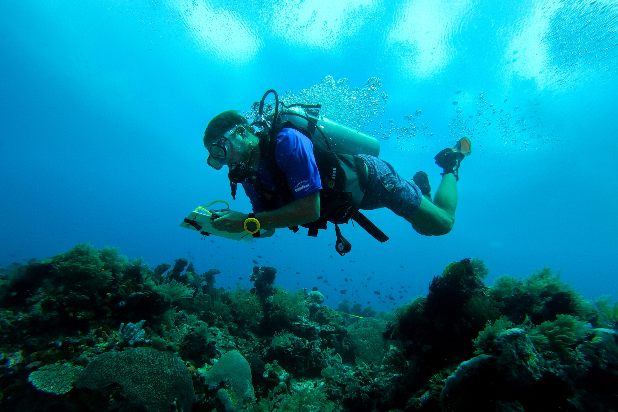 Blue Ventures a 100 AWARE Partner with Project AWARE® Blue