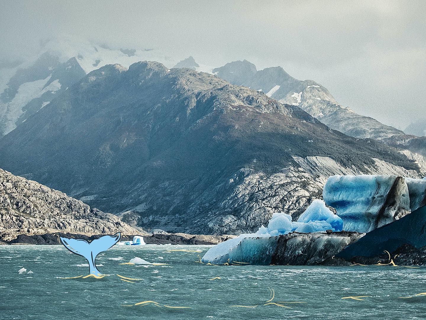 WaterBear Network the world’s first interactive streaming platform