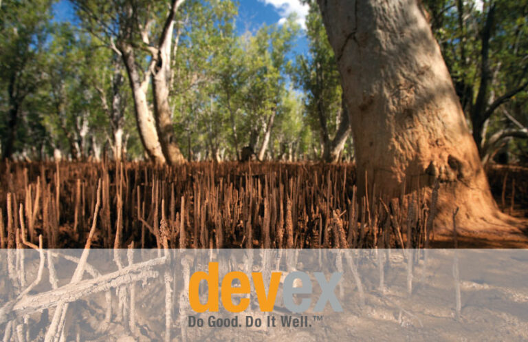 Devex mangroves