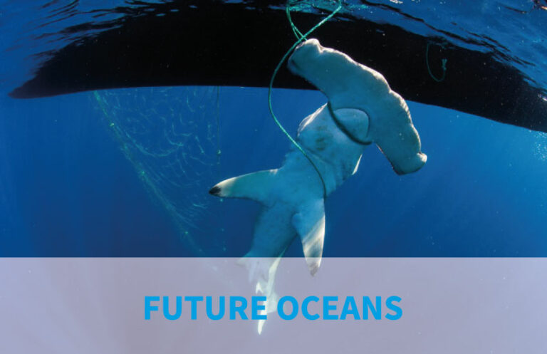 Blue Ventures Future Oceans