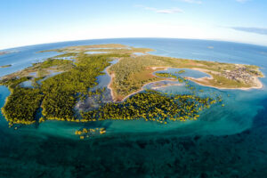 baie des assassins mangroves