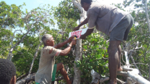 Komunitas Tahiry honko memimpin zonasi proyek mangrove