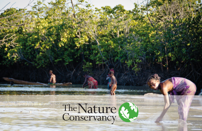 The Nature Conservancy: Natural Climate Solutions - Blue Ventures