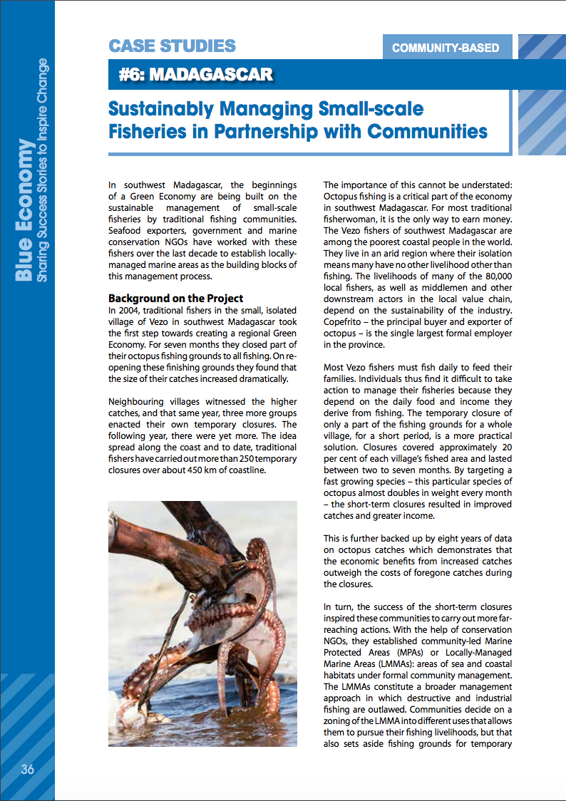 Sustainably Managing Small-scale Fisheries in Partnership with Communities  - Blue Ventures