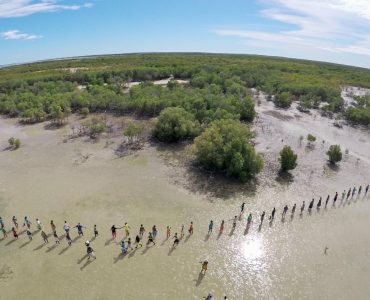 Toko telo rewind: What does best practice in community-led mangrove management look like? 