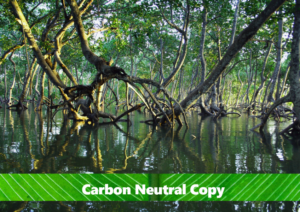 Au-delà de Net Zero : Comment les crédits carbone peuvent aider les entreprises à atteindre des objectifs sociaux et environnementaux supplémentaires, Carbon Neutral Copy