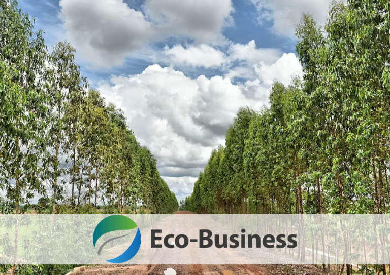 'Welcome' or 'unworkable'? Carbon offset registries submit contrasting views to market integrity scheme EcoBusiness