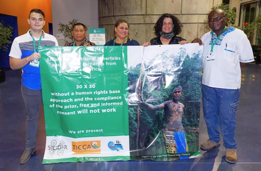 Small-scale Fishers Demand To Be Heard At COP15 On Biodiversity - Blue ...