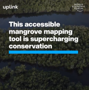 WEF; Forum Ekonomi Dunia; Karbon Biru; Pemetaan Google Earth; Mangrove