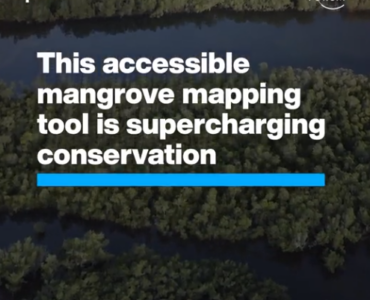 WEF; World Economic Forum; Blue Carbon; Google Earth Mapping; Mangroves