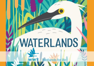 WWT; Wildfowl & Wetlands Trust; Mikoko; Madagaska; kaboni ya bluu; hifadhi ya kaboni