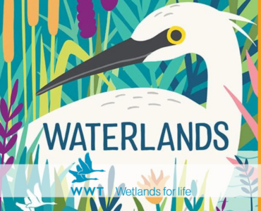 WWT; Wildfowl & Wetlands Trust; Mangroves; Madagascar; blue carbon; carbon storage