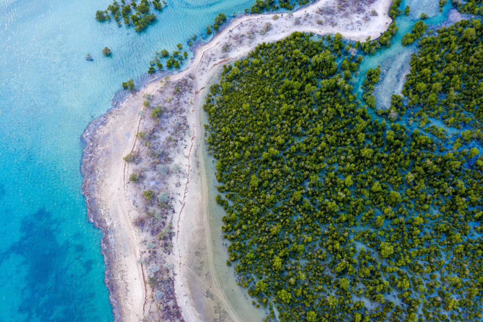 Tahiry Honko — Community Mangrove Blue Carbon Project, Velondriake LMMA (Madagascar)