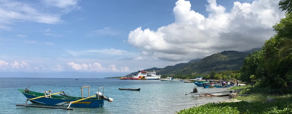 Photo by Christina Saylor, Atauro Island, Timor Leste, May 2017