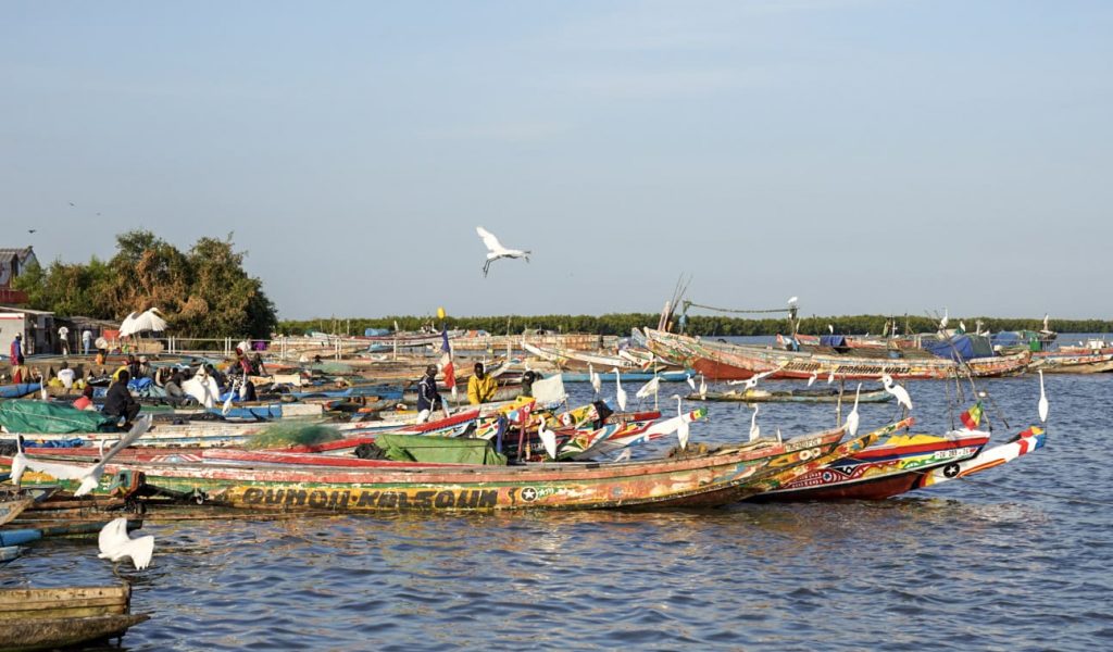 In Casamance, Senegal, Blue Ventures held a ‘Monitoring for Mangrove Management’ workshop in partnership with NGOs Kawanana, Nebeday and United Purpose. Leaders of five community-managed marine protected areas and two locally managed marine areas (together representing some 350,000 hectares of protected marine areas) attended. The five day workshop included both classroom theory and practical field techniques to help support community-led conservation in the region. BV staff Nick Piludu, Jaona Ravelonjatovo, Lalao Aigrette and Leah Glass supported.