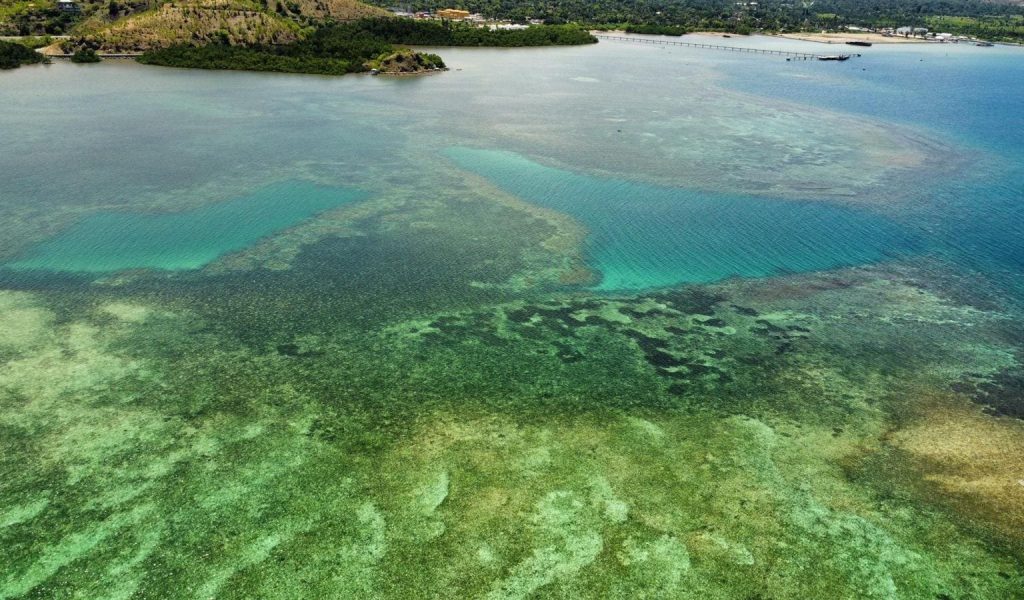 We worked with local fishers, KFF and Project Seagrass to map 600 hectares of seagrass meadows in Hera in December 2022, using baited remote underwater videos to better understand the biodiversity and health of the ecosystem.