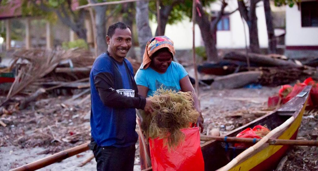 Blue Ventures Timor-Leste Marine Conservation-175