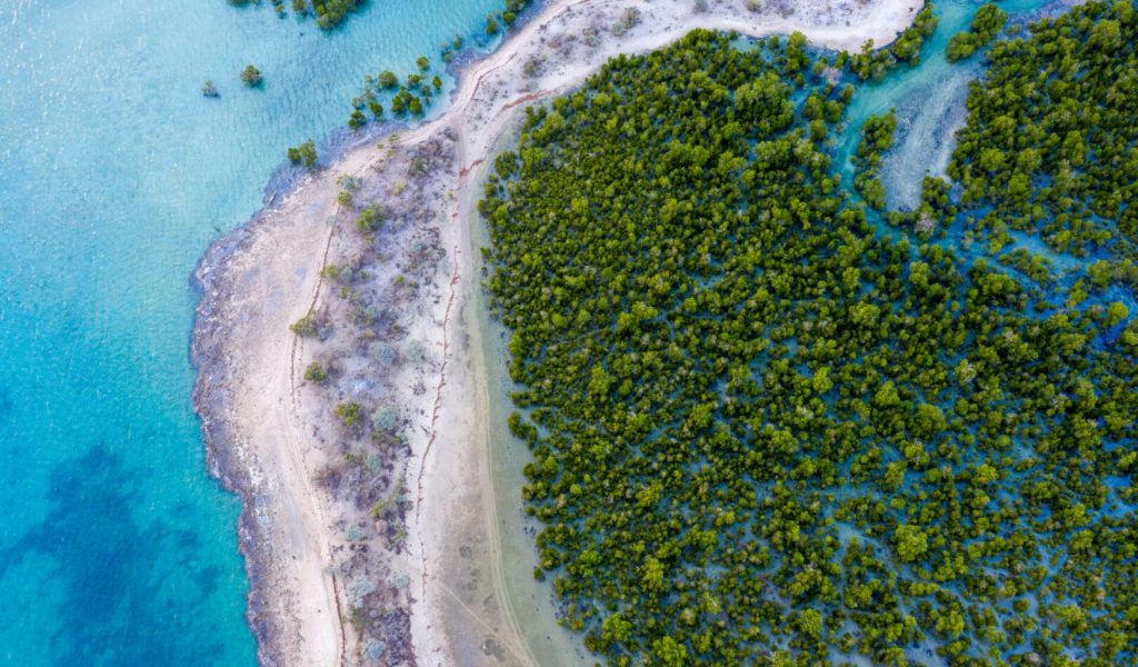 Blue Ventures_Aerial_DJI_0718