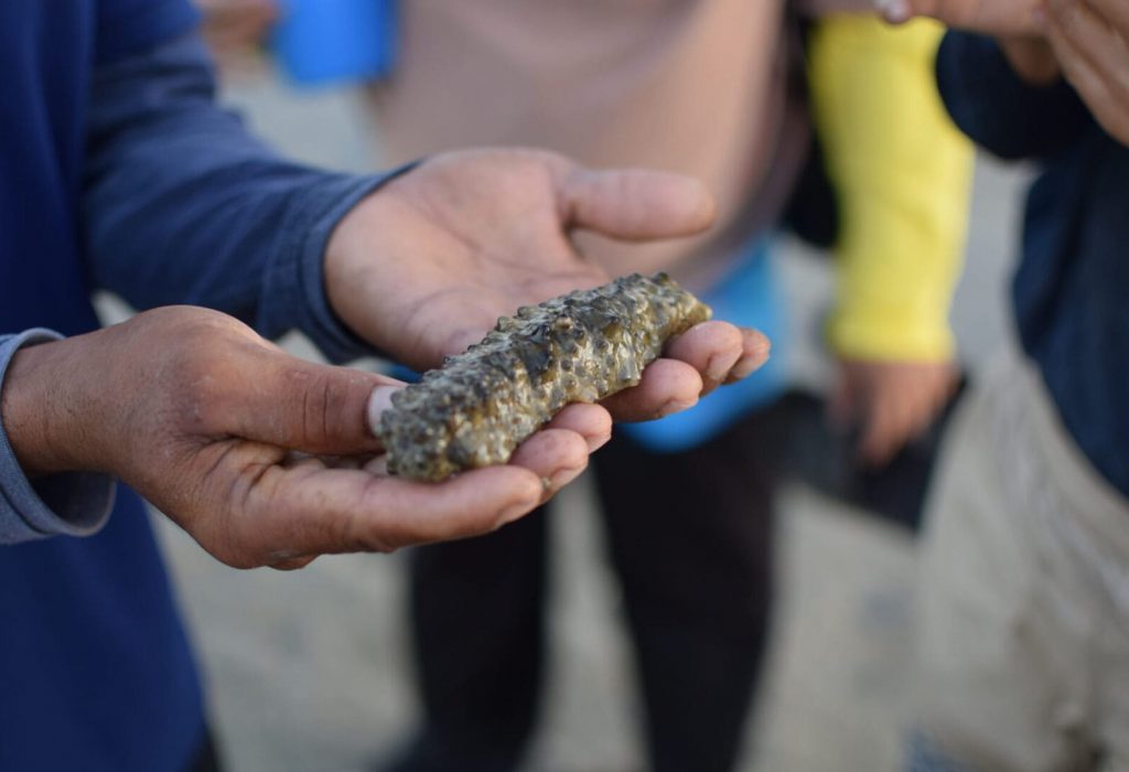 In February 2022, BV and our partner Save Andaman Network (SAN) trialled a series of community-based tourism tours that support locally led marine management in Thailand. Tours included a rubber tree farmer experience, seagrass exploring, sea snorkelling and local Thai sweet making.