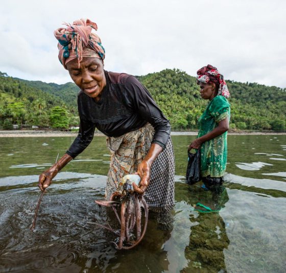 Fisherwomen glean for octopus - an important species for both food security and livelihoods - along the East African coast.